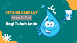Minum Air Putih Cukup Bantu Otak Fokus dan Berat Badan Turun
