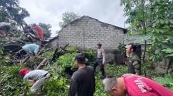 Pohon Tumbang Timpa Warung Kopi di Kubu Raya, Polisi Imbau Waspada Cuaca Ekstrem